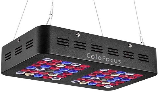 ColoFocus-LED-Grow-Light-600W