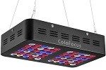 ColoFocus-LED-Grow-Light-600W