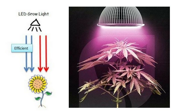 how does the led light work