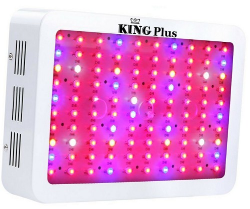 King-Plus-LED-Grow-Light-1000W