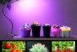 LED-Grow-Light