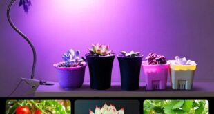 LED-Grow-Light