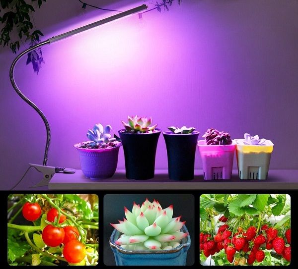 LED-Grow-Light