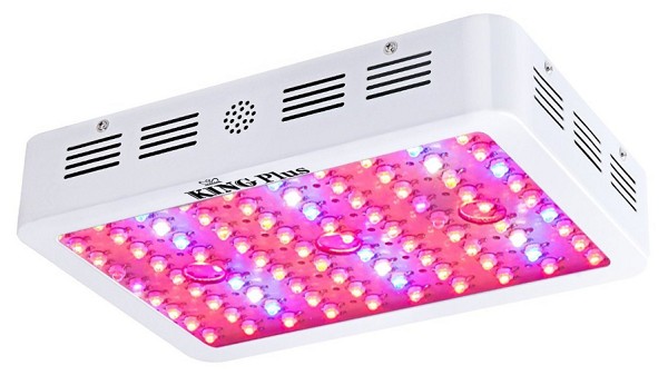 King Plus 1000w LED Grow Light