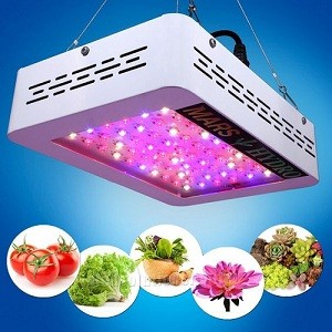 MarsHydro 300W LED