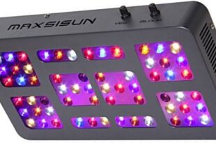 MAXSISUN 300W