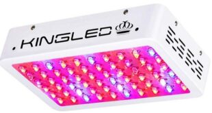 King Plus 600W