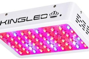 King Plus 600W