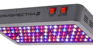 VIPARSPECTRA 450W