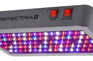 VIPARSPECTRA 450W
