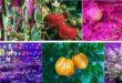 Best LED Grow Light