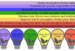 LED Light Bulbs